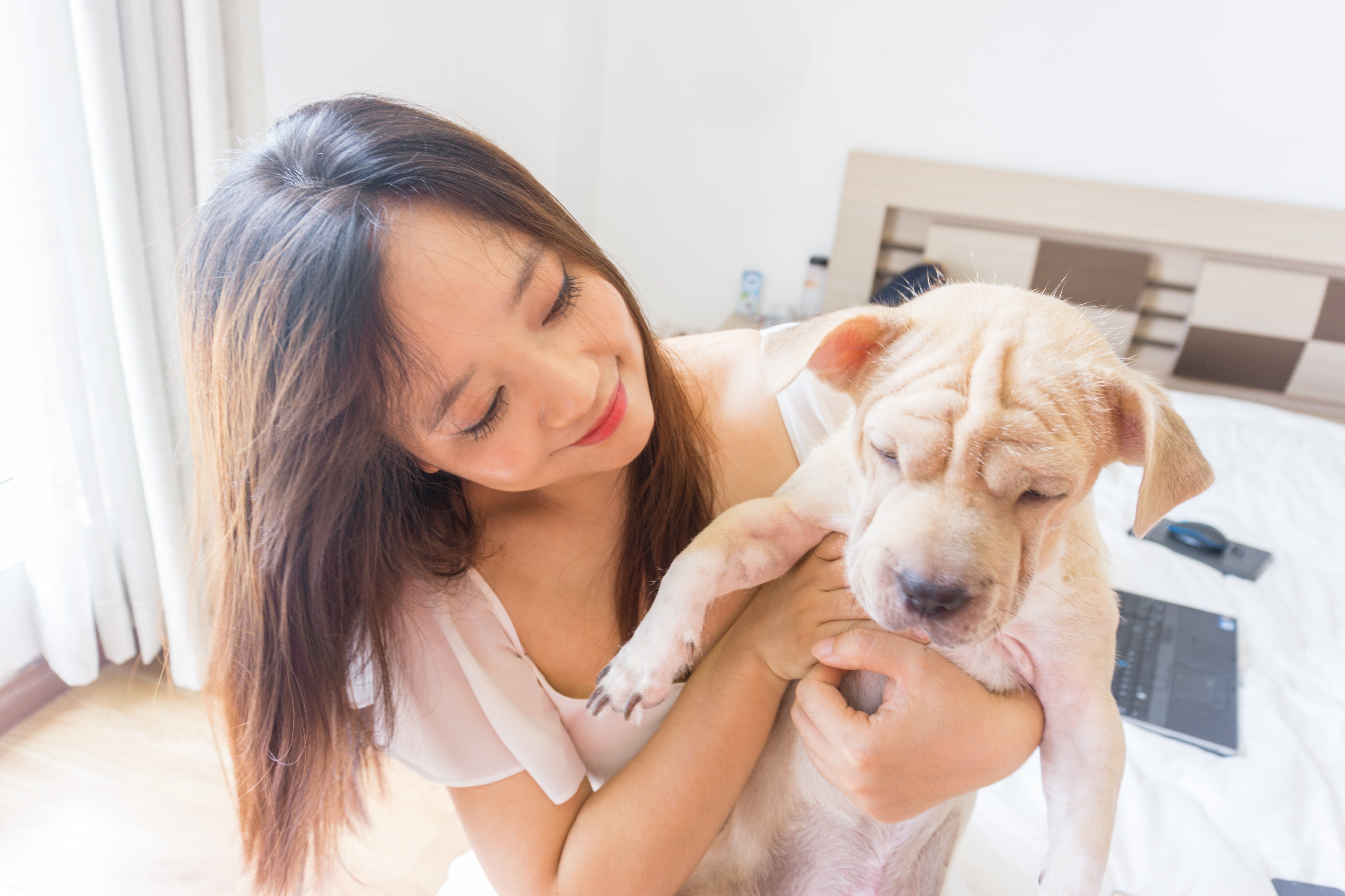 Imagem do avatar 1 mulher segurando um cão
