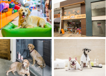 Imagem com serviços oferecidos pelo PetShop