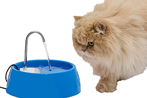 Fonte para Gatos Aqua Mini Bivolt Azul Amicus