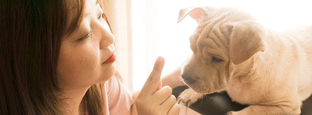 Imagem de uma mulher oriental apontando dedo para seu cão.